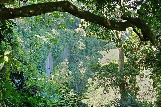 Discover Benang Stokel Waterfall - Location and Accessibility