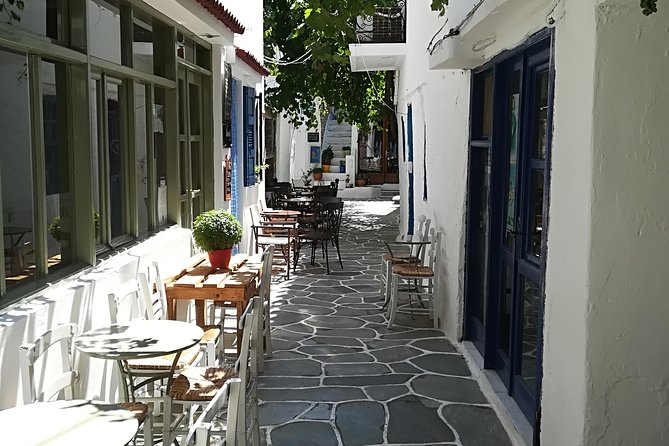 Discover Dryopida, Untouched by Time