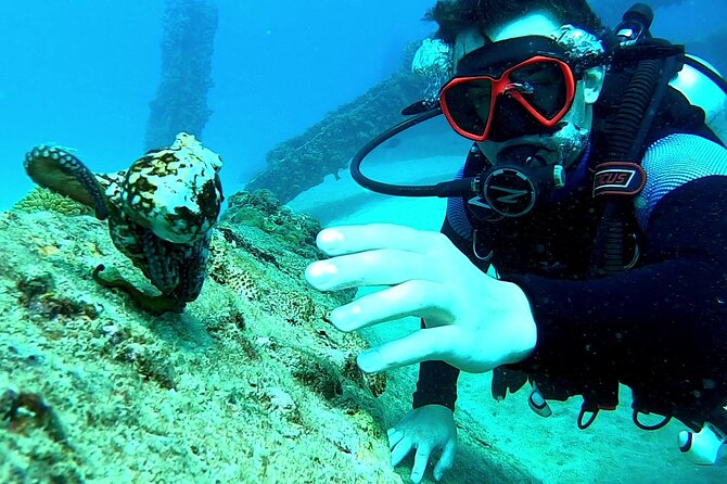 Discover Scuba Diving for Beginners in San Juan