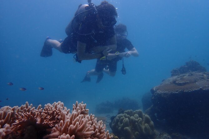 Dive Trip Experience in Koh Tao