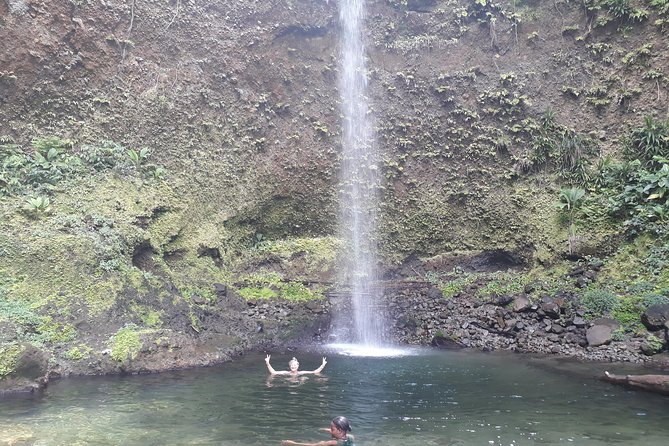 Dominica Half-Day Tour: Mero Beach, Waterfalls, Mineral Bath Wotten Waven
