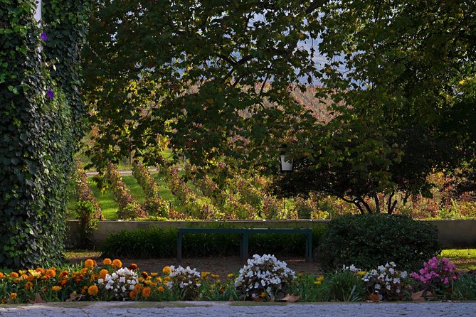 Douro Valley Private Tour: River Cruise, Lunch and Wine Tasting in a Vineyard