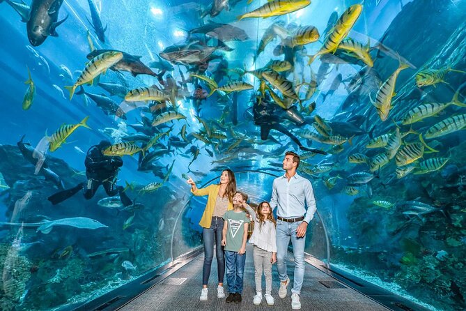 Dubai Aquarium and Underwater Zoo