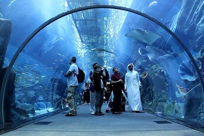 Dubai Mall Aquarium and Underwater Zoo Ticket