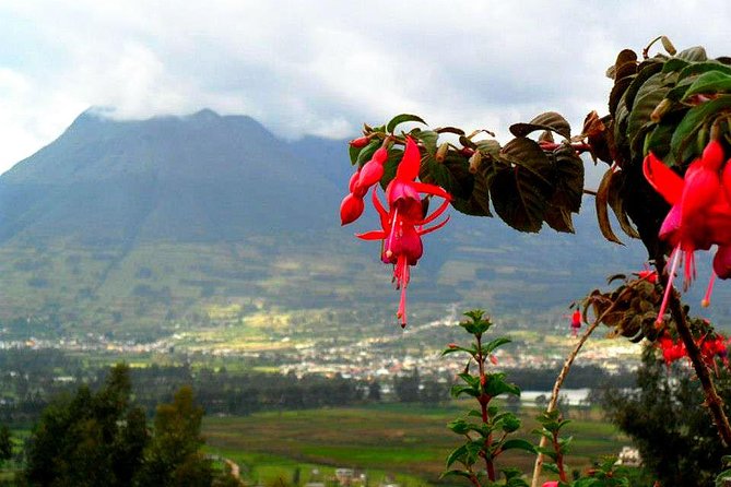 Ecuador Gateway 5 Days Tour - Tour Highlights
