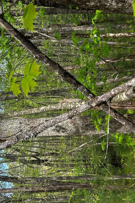 Ellijay, Georgia: Squatch-Fishing Outfitter’s. BF Expedition