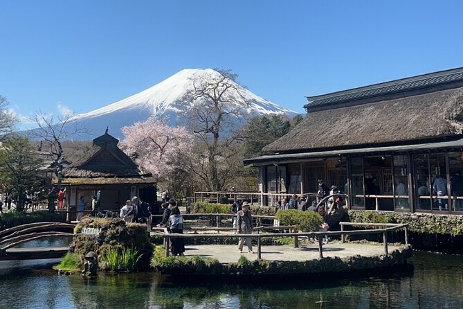 English-speaking Guided Tour:Mount Fuji & Hakone, Private Vehicle