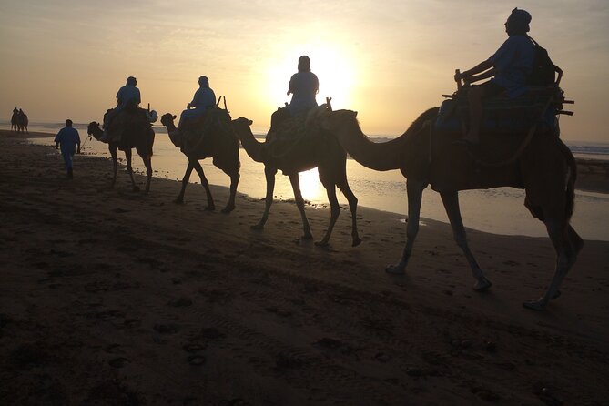 Essaouira: 1 Hour Dromedary + 2 Hours Quad