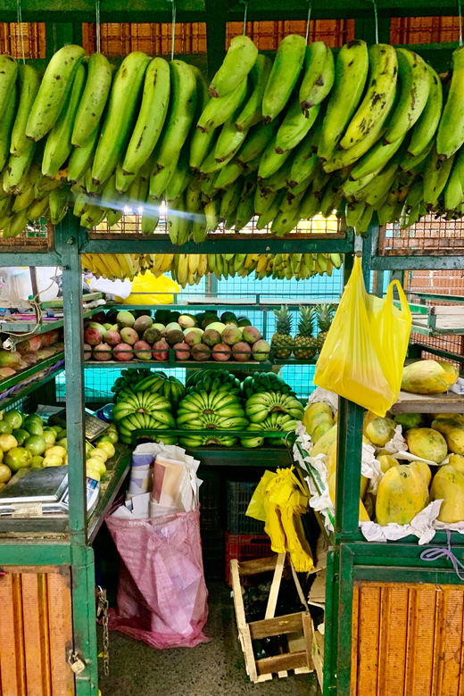 Essential Fruit Experience