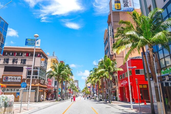 Exclusive Private Full Day Okinawa Island Tour With a Local Guide