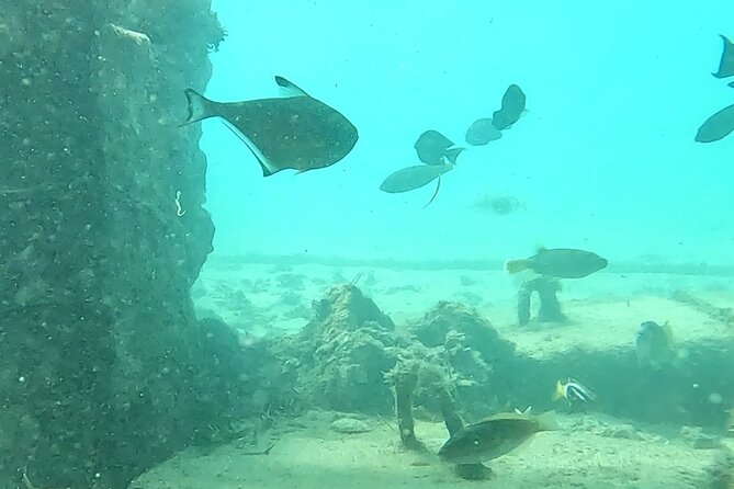 Experience Snorkeling in Sanur