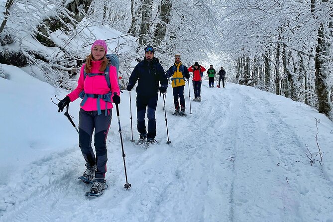 Experience Snowshoeing in Olympic Mountain Bjelašnica