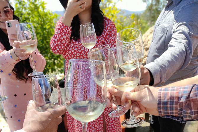 Experience the Wine Route in Valle De Guadalupe, the Capital of Mexican Wine