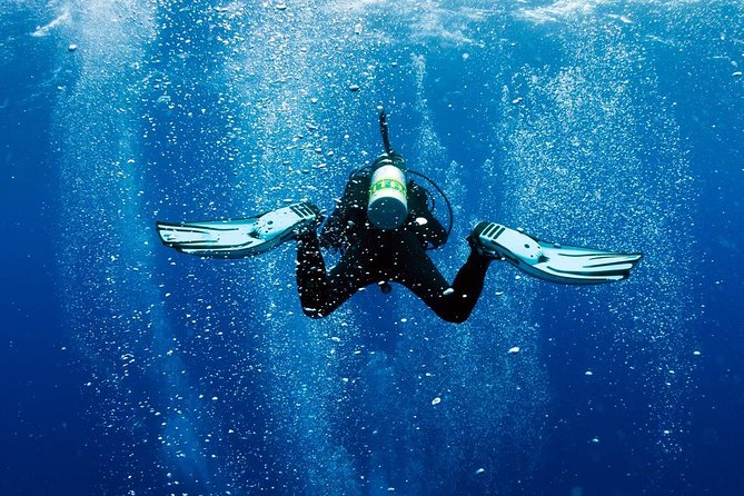 Exploration Dives