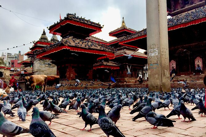 Explore Kathmandu With Local Guide - Meeting and Pickup
