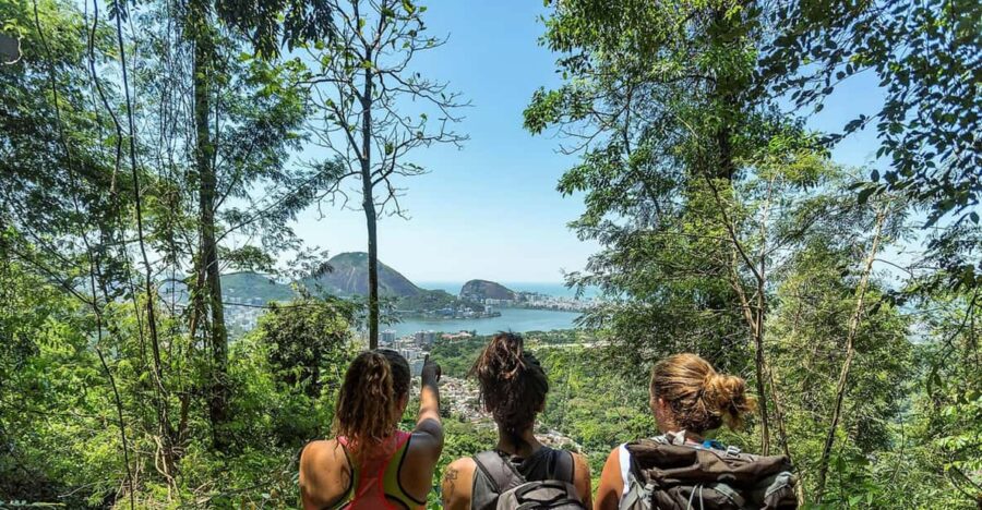 Explore Tijuca Forest: Mayrink Chapel and Taunay Waterfall.