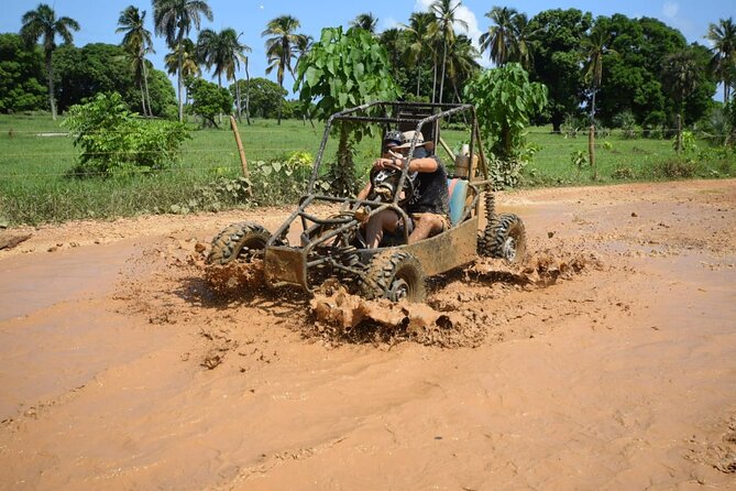 Family Buggy Ride Through the Dominican Countryside