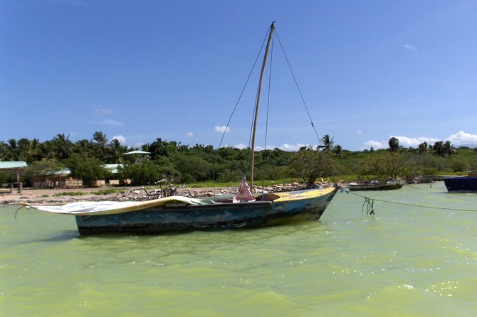 Flamingo Island – Laguna Oviedo
