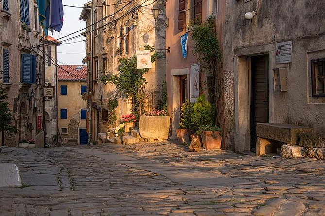 Flavours of Istria Tasting Experience From Trieste