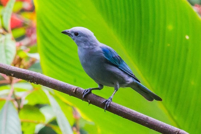 Flora and Fauna Garden at Danaus Eco-Center - Sloth Sightings and Encounters