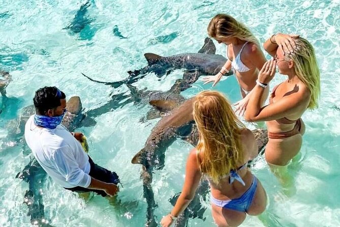 Fly To The Exuma Swimming Pigs