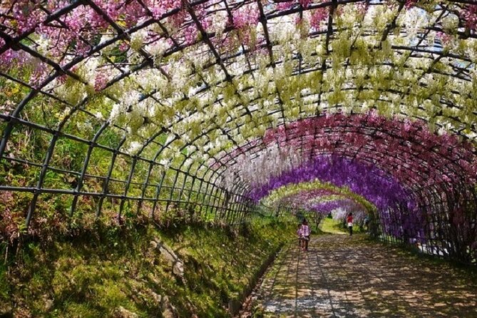 French Dining at Matsumoto Residence and Kawachi Wisteria YokaBus