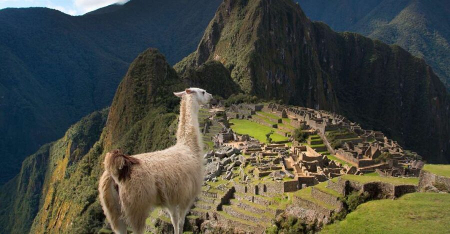 From Cusco: Machu Picchu + Huayna Picchu Mountain
