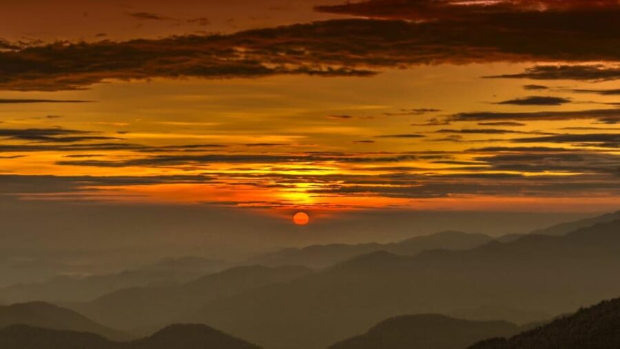 From Cusco: Manu Madre De Dios National Park Peru 7 Days