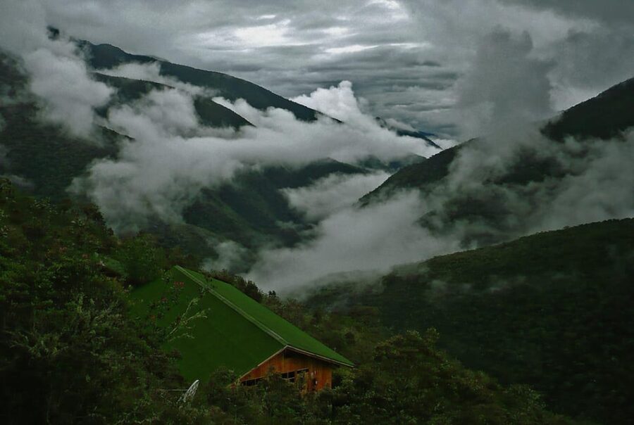 From Cusco: Manu Tree House 4 Days/3 Nights