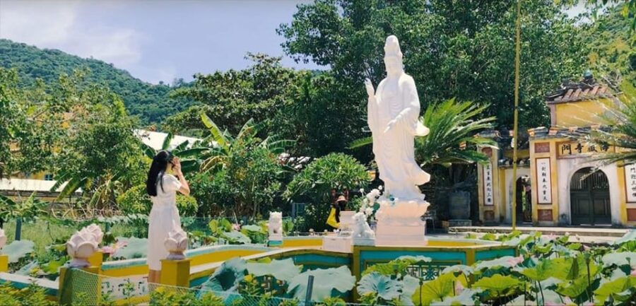 From Da Nang: Cham Island Day Trip - Overview of the Trip