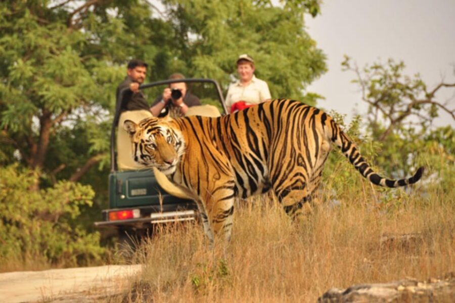 From Delhi : 6 Days Delhi, Jaipur, Agra & Ranthambore By Car