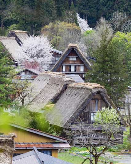 From Kanazawa/Toyama: Shirakawago and Takayama Day Tour