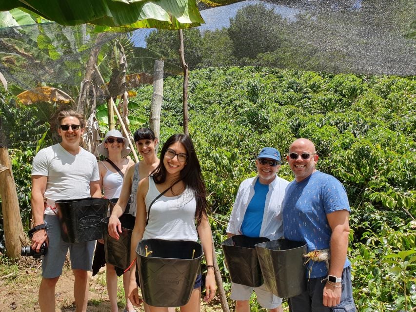 From Medellin: Private Envigado Coffee Tour With Tastings