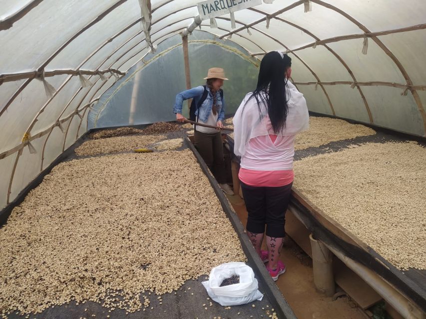 From Medellin: Private Guatape Car Tour With Coffee Tour