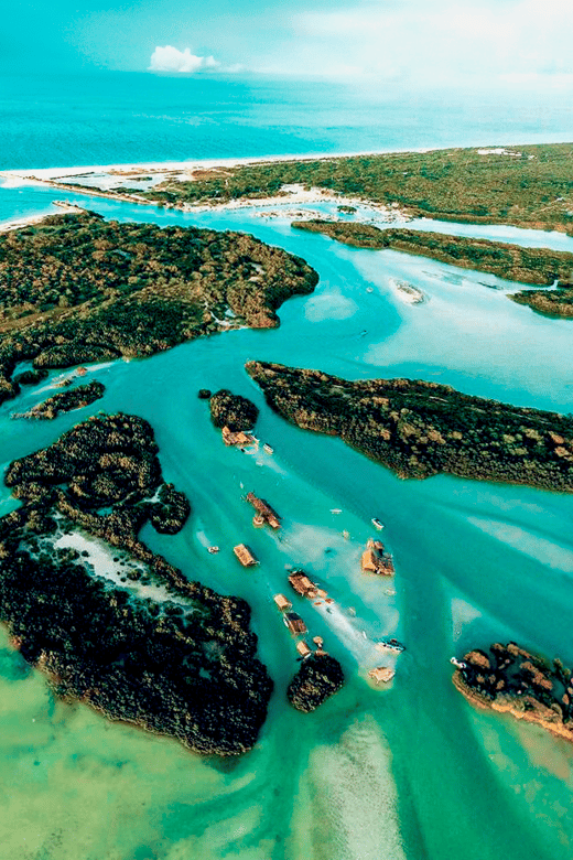 From Merida: Swing Island & Progreso - Tour Overview and Pricing