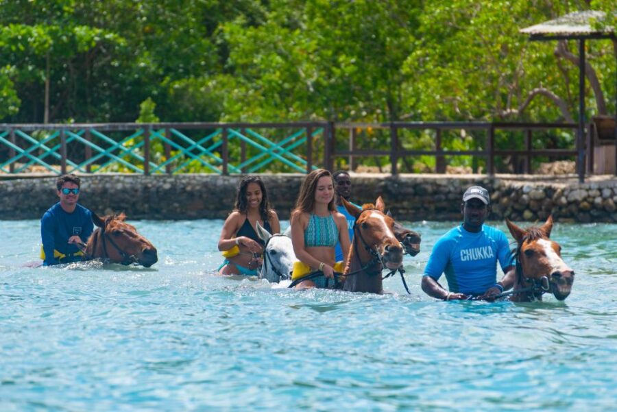From Montego Bay or Negril: Chukka Horseback Ride and Swim - Activity Overview