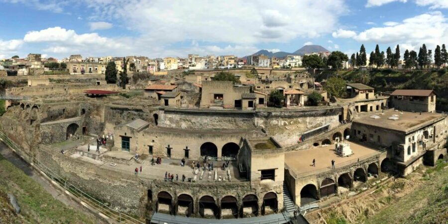 From Naples: Day Trip to Herculaneum With Skip the Line - Overview and Pricing