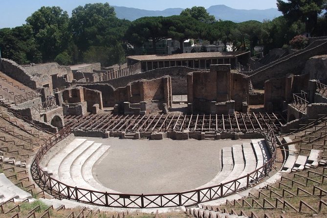 From Naples: Pompei and Sorrento City Sightseeing