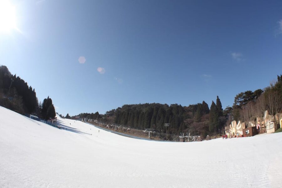 From Osaka: Rokko Mountain Snow Park & Arima Hot Springs - Overview of the Day Trip