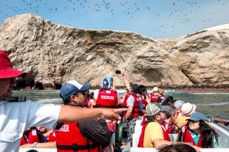 From San Martin Port: Ballestas Island & Paracas Reserve