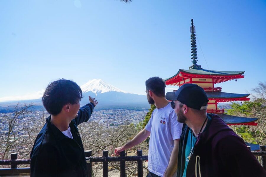 From Tokyo: Mt. Fuji Day Tour W/ Private Car & Nature Guide