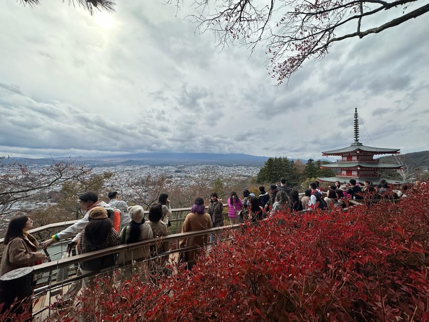 From Tokyo: Mt.Fuji & Gotemba Outlets Private Day Trip