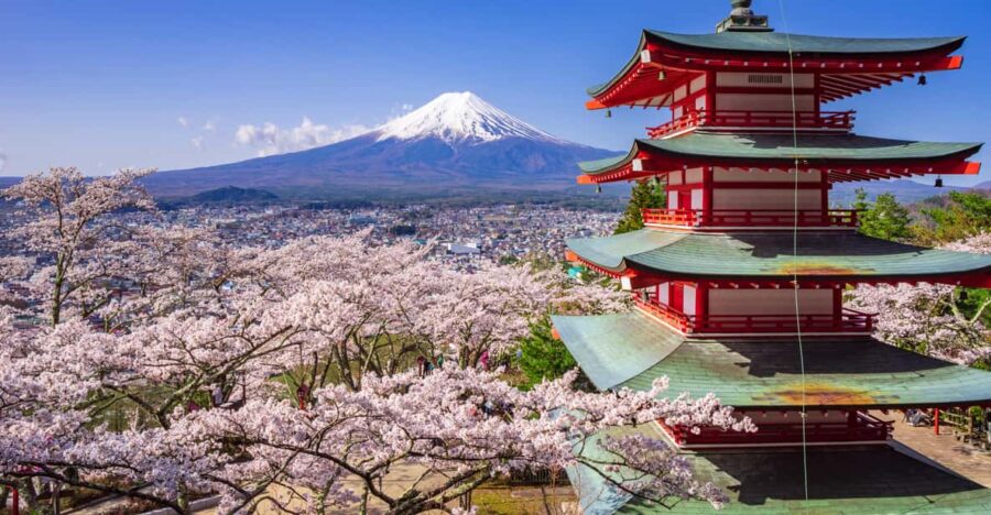 From Tokyo: Mt. Fuji or Hakone Private Sightseeing Day Trip