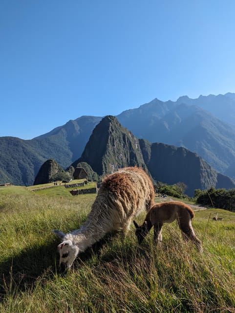 From Urubamba & Ollantaytambo: MachuPicchu Full Day| PRIVATE - Tour Overview