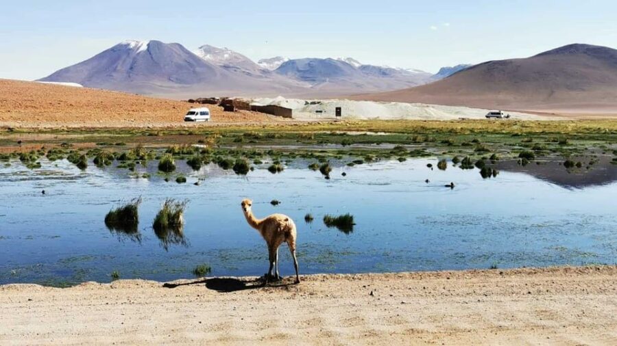 From:San Pedro De Atacama / Salar Route