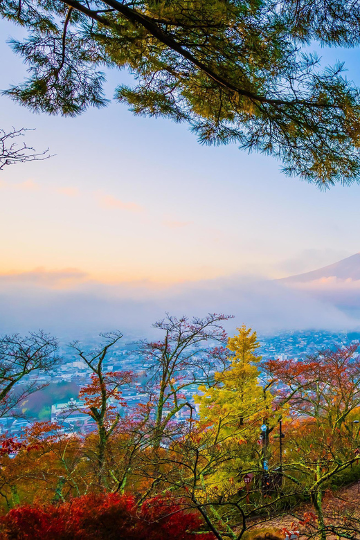 Fuji/Hakone Private Tour, English Speaking Guide, Photograph - Tour Overview and Pricing