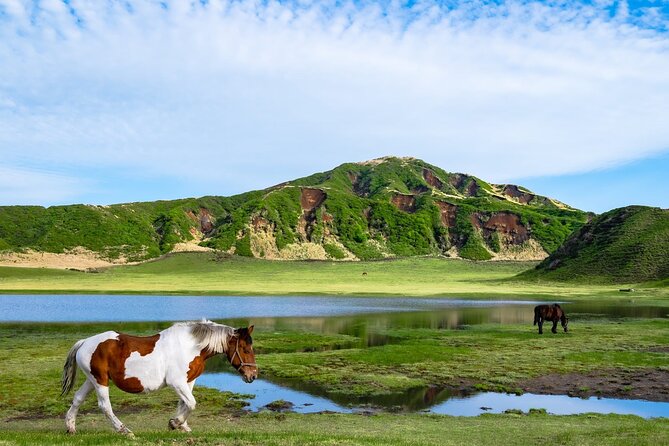 Fukuoka: Mount Aso Volcano, Kumamoto Castle, Grasslands Day Tour