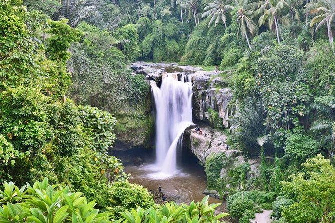 Full Day Best of Bali Volcano Tour Review - Inclusions