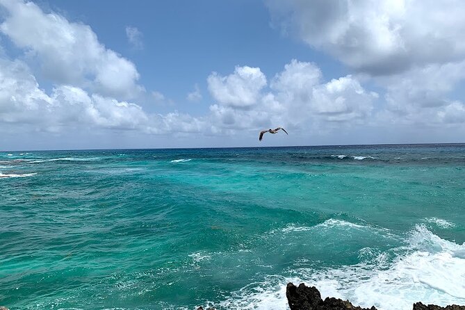 Full-Day Catamaran Cozumel Tour With Sky Snorkeling and Club - Tour Overview