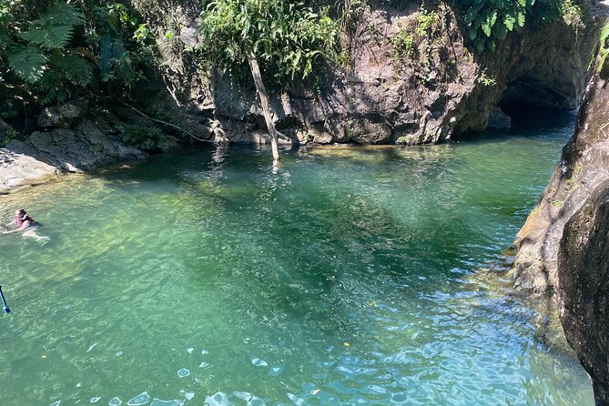 Full-Day El Yunque Rainforest and Old San Juan Tour From Luquillo - Inclusions and Exclusions